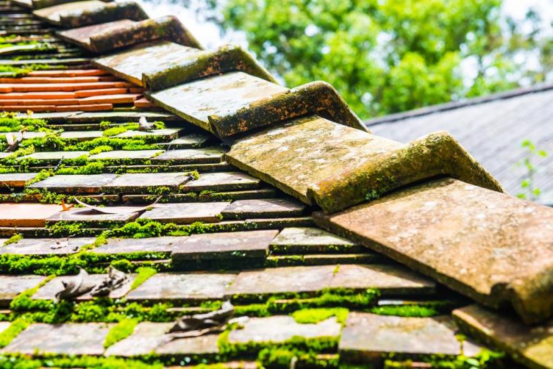 Quelle couverture choisir pour votre toiture ? Guide complet